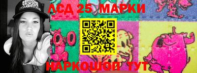 стаф Донецк