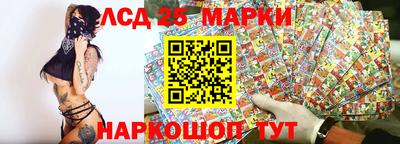 стафф Донской