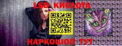 стаф Донецк