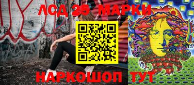 стафф Донской