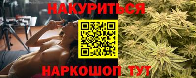 стаф Донецк