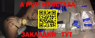 стафф Донской