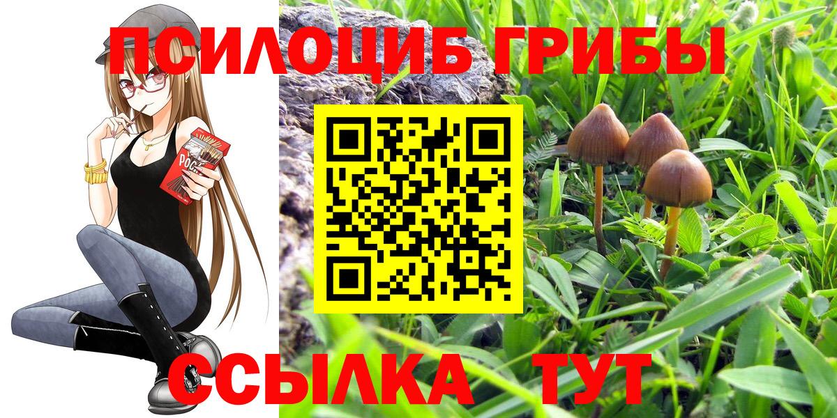 Галлюциногенные грибы Magic Shrooms Новоуральск